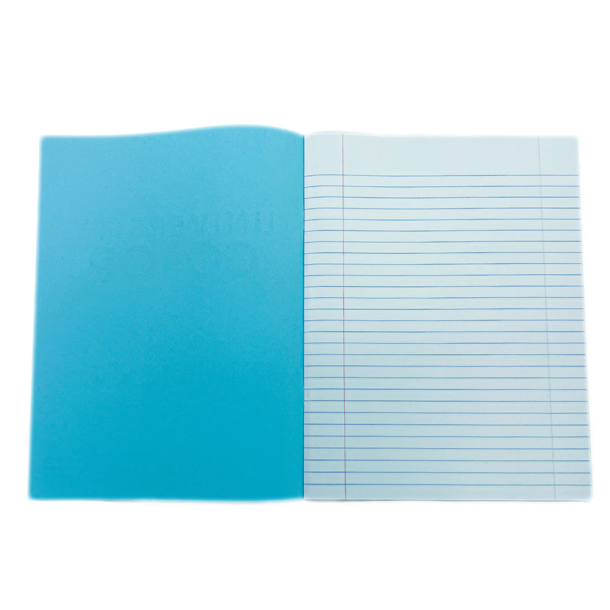 Blue Book - 4 Sheets - Image 2