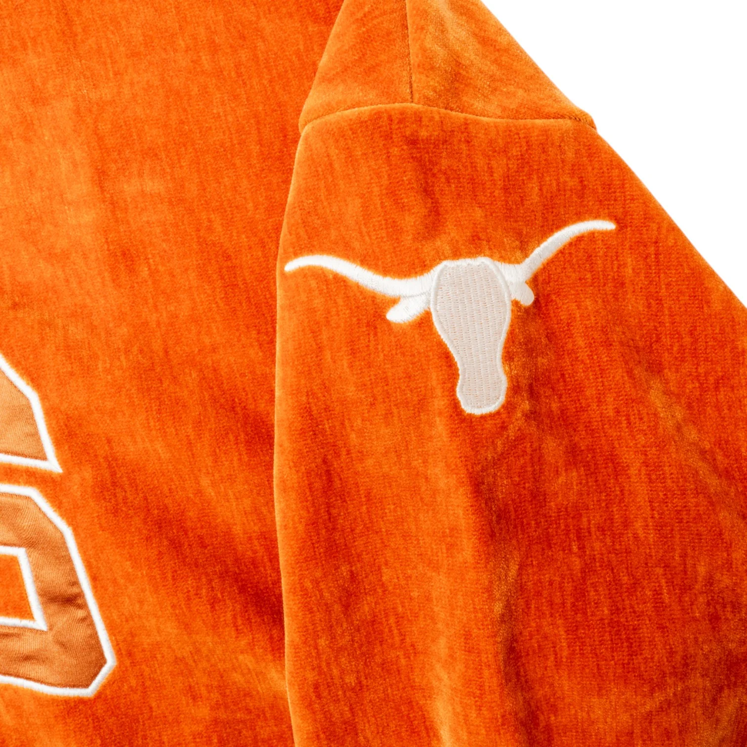 Texas Longhorns Make a Move Velour Crewneck - Image 3